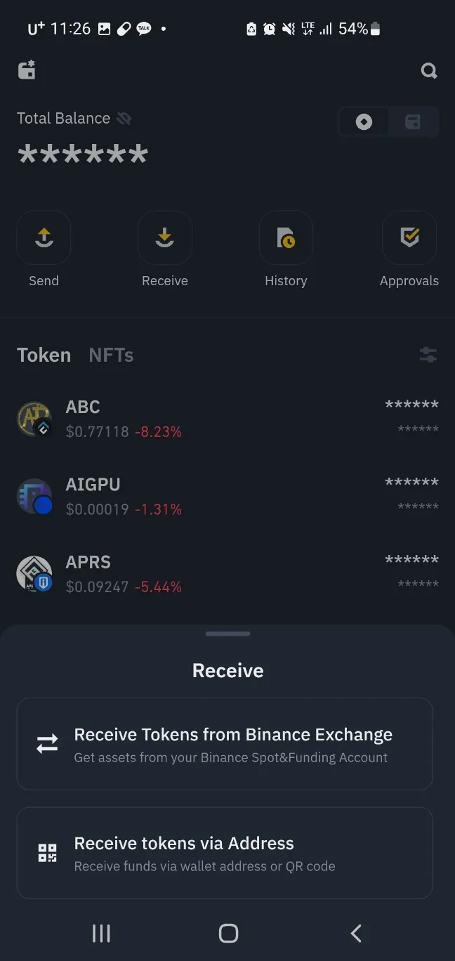 바이낸스(Binance) | SOLV 메가드롭 - 코인니스