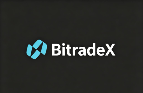 비트레이드X, 생태계 토큰 BXC 1·2차 세일 마감...청약액 1,400만 USDT 상회