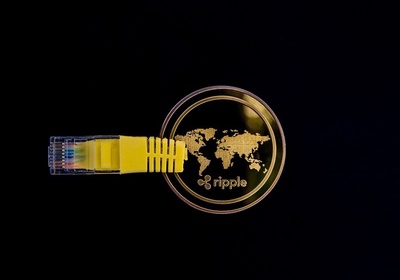 XRP, 올해 9달러 못 가도 괜찮다?...전문가 "실패가 오히려 기회"