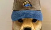 content image