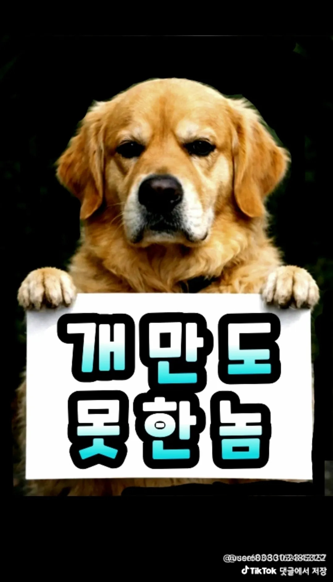 comment_image