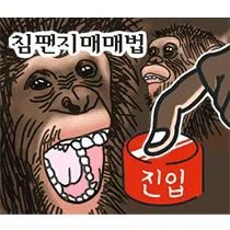 comment_image