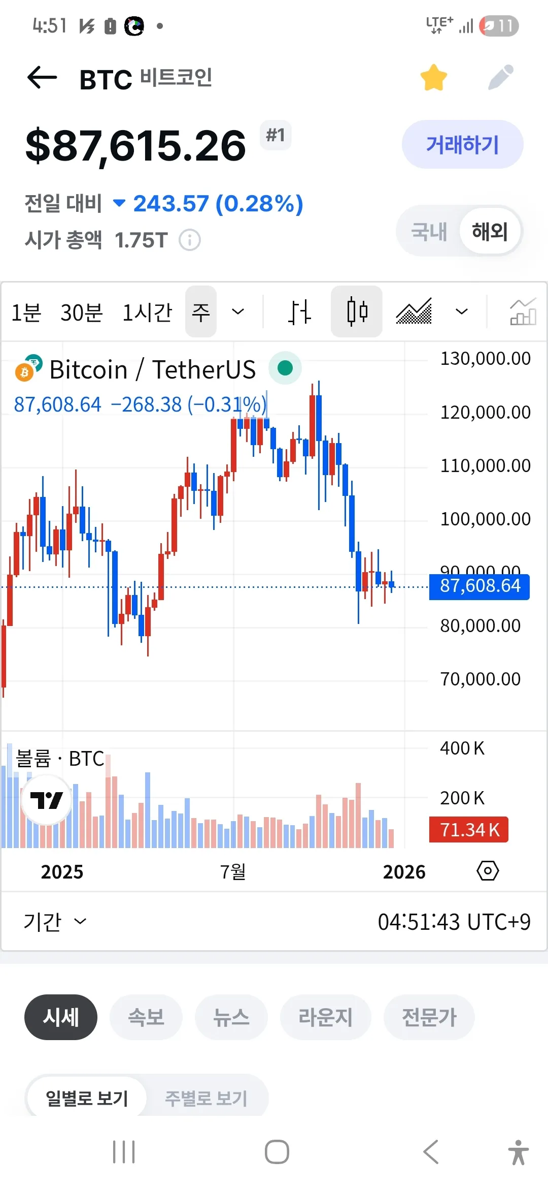 주봉 - 코인니스