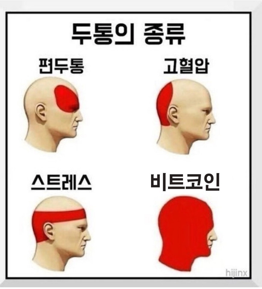 비트 미쳤다.. - 코인니스