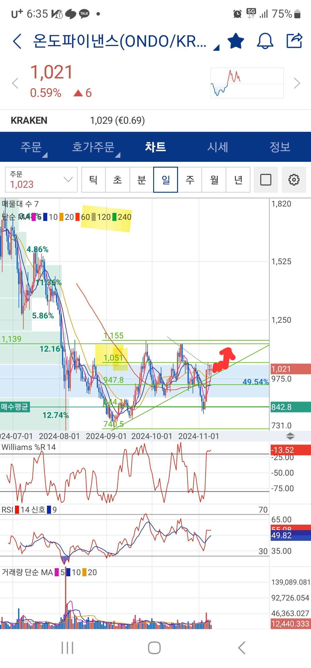 온도파이낸스 관점(화이팅) - 코인니스