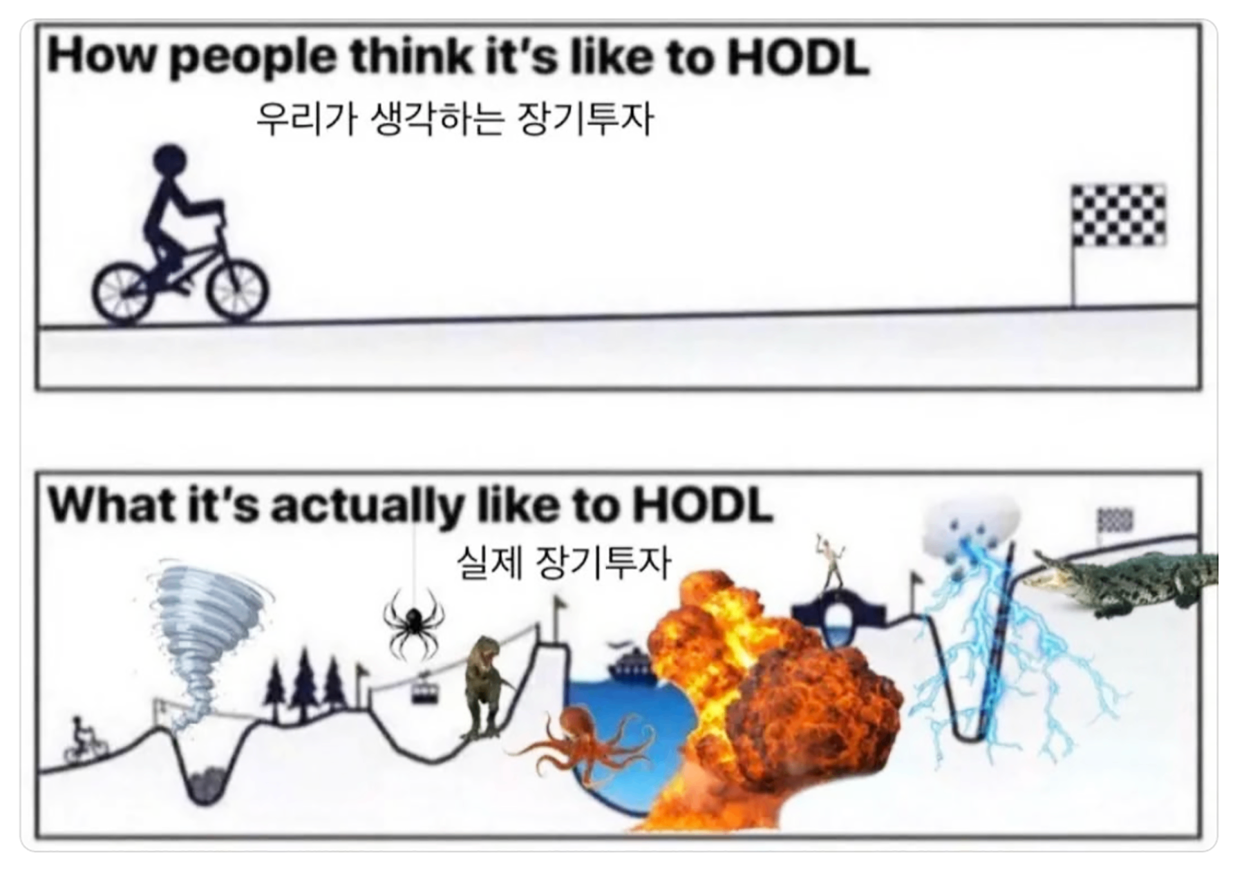 장투차트 - 코인니스