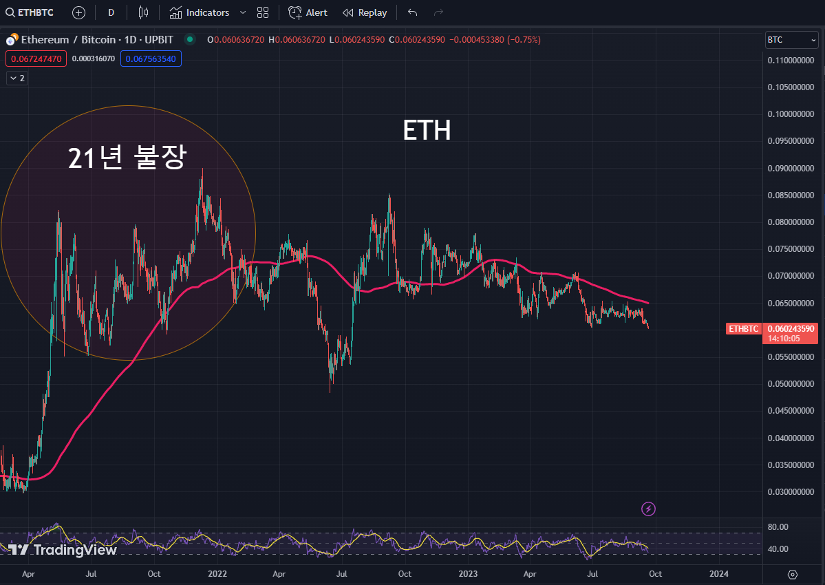 사토시 리플 (80) 사진
