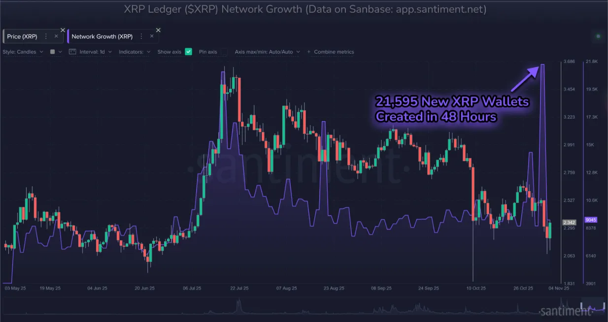 XRP 신규 주소 수 급증...8개월래 최다 - 코인니스