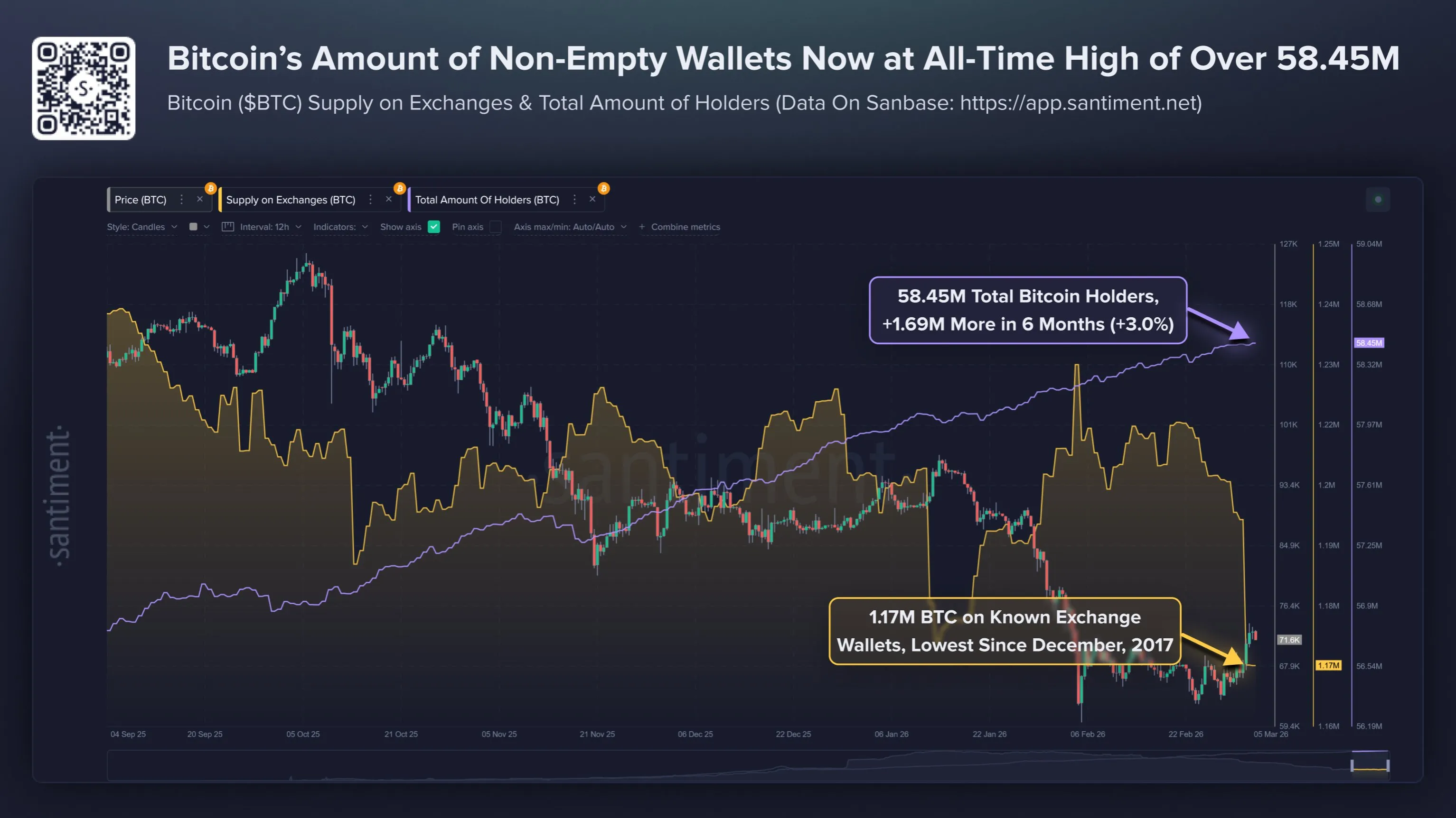 Number of wallets holding BTC reaches all-time high