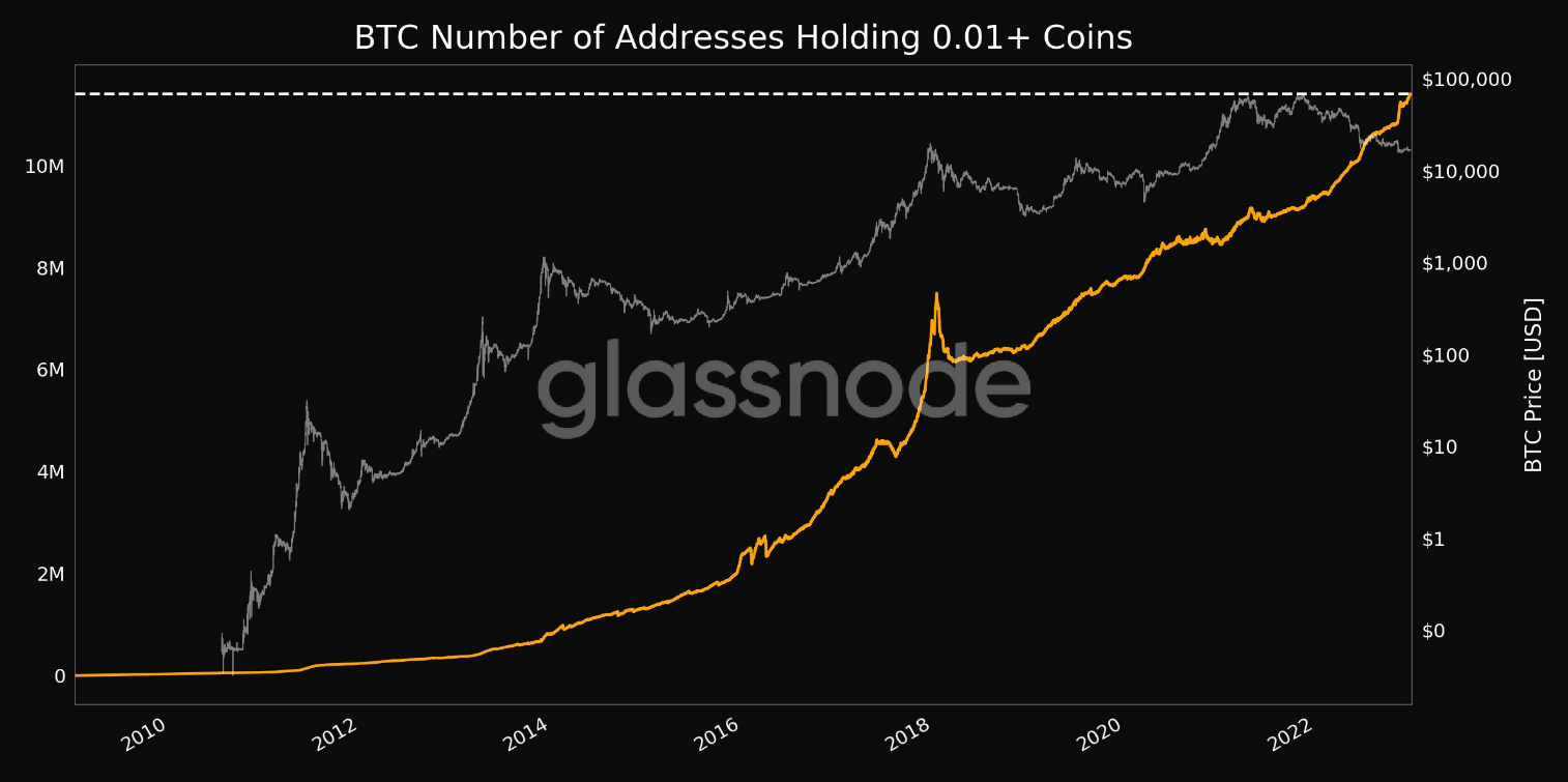 0.01 BTC 이상 보유 주소 증가세 지속... 1140만개 - 코인니스