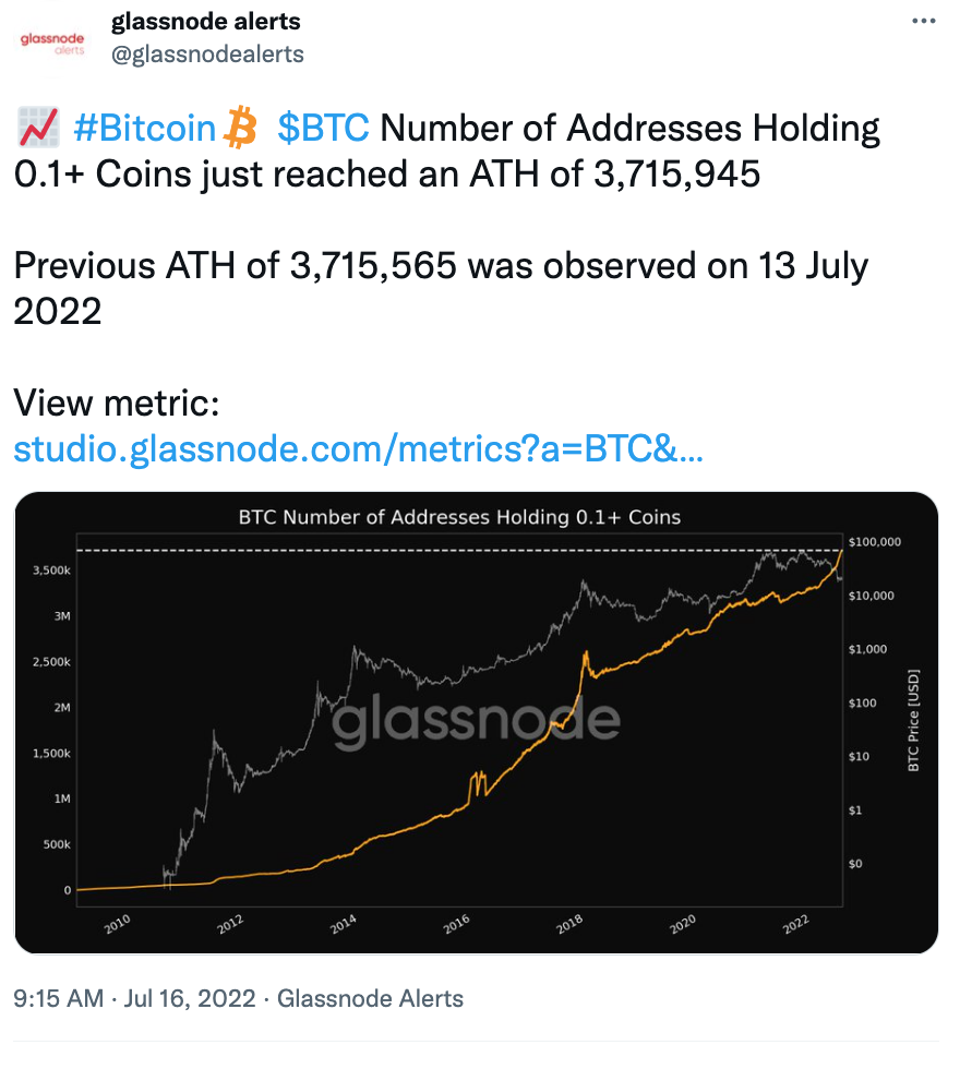 0.1 BTC 이상 보유 주소 371만개 - 코인니스