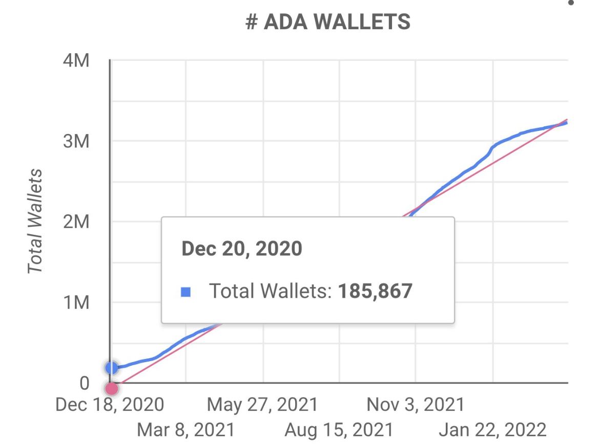 ADA 보유 월렛 수 1년새 1600% 증가 - 코인니스