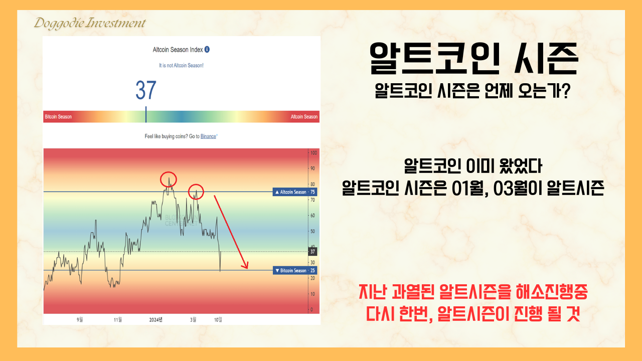 ✓ 알트코인 시즌은 언제 오는가? - 코인니스