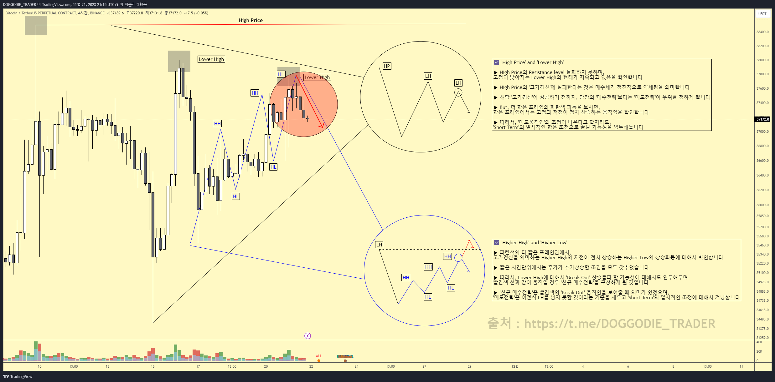 비트코인 분석 - 코인니스