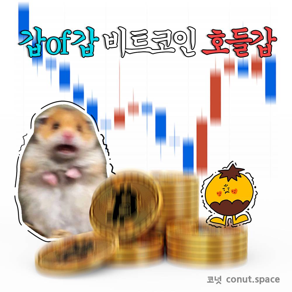 갑 of 갑, 비트코인 호들갑📉📈 - 코인니스