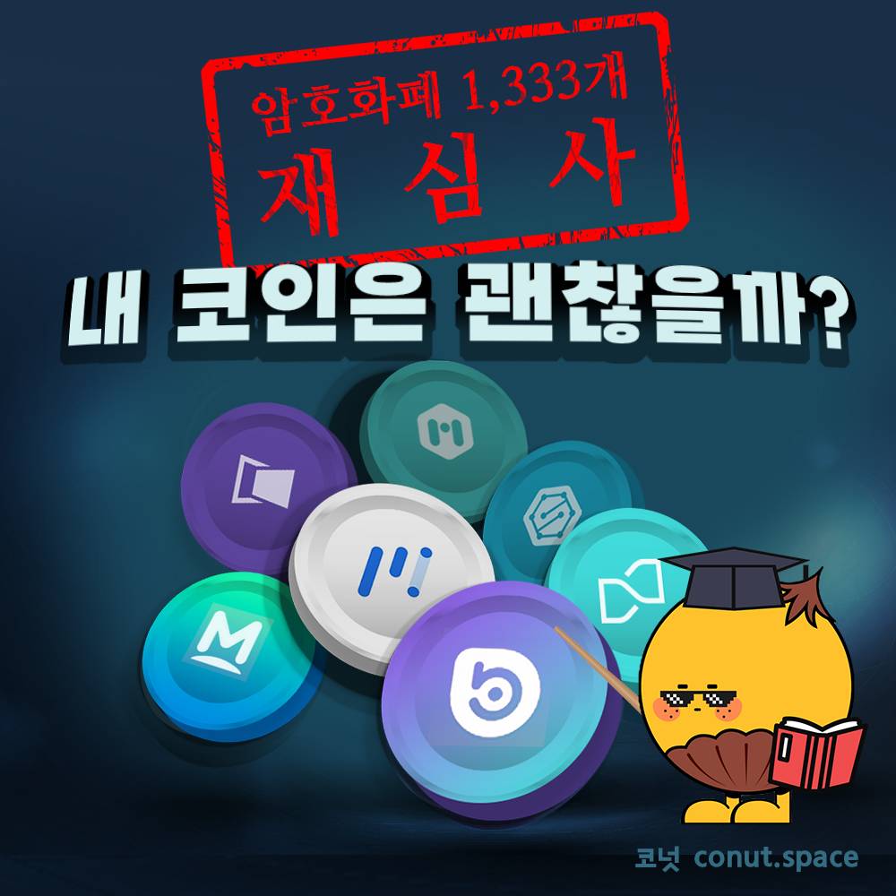 내 코인은 괜찮을까?😨 코인 1,333개 재심사🔍 - 코인니스
