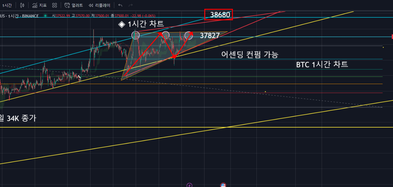 ◈ 【 11월 24일 (금) BTC 흐름 CHECK 】 - 코인니스